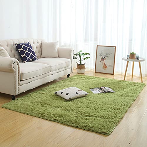 HUIXIZS Tapis de Sol en Peluche Doux Bon marché de décoration à la Maison, Tapis de Salon Super Doux en Peluche antidérapant, Tapis de Chambre à Coucher de Sol à Poils Longs (Vert, 60x120cm) Cover