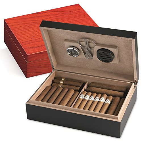 Los 5 Mejores Humidores de Puros del 2022 Comparativa y Opiniones