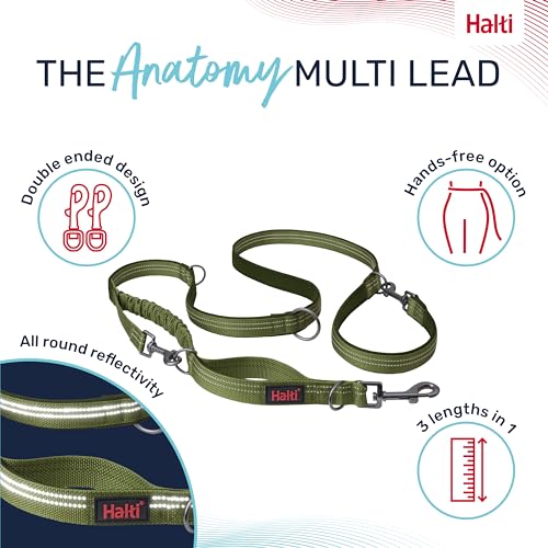 HALTI Anatomy Multifunctional Dog Leash – Shock Absorbing Double-Ended Leash, Ideal for Dog Walking & Training. Comfortable to Hold, Reflective & Lightweight. Suitable for Puppies (Size Large, Green) by Halti - Image 2