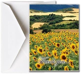 Funeral Memorial Service Thank You Cards with Envelopes (25 Count) FTKC1011 Sunflower field (Blank - You print your own verse)