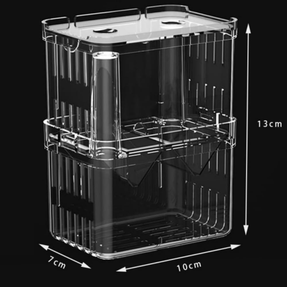 Amazon | Loopunk 2個グッピー 繁殖隔離ボックス メダカボックス