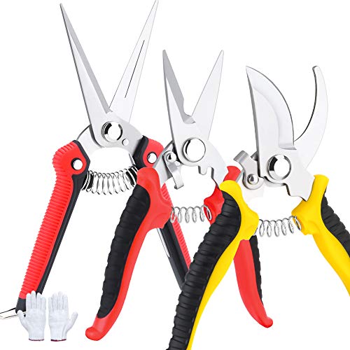 Pruner Shears Garden Cutter Clippers, Stainless Steel Sharp Pruner Secateurs, Professional Bypass Pruning Hand Tools Scissors Kit 3 PCS (Yellow)