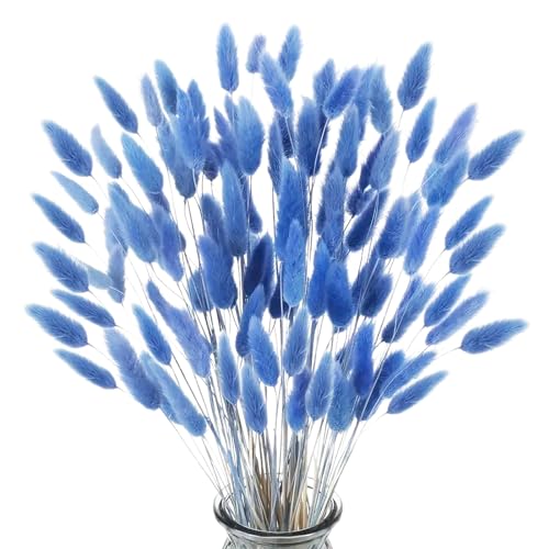 poraceous 120 Pezzi Erba Della Pampas, Fiori Secchi Decorativi,Fiori Secchi Naturali, Fioris Secchis Decorativi per Vaso, Blu Erba Della Pampas Decorative, per Casa, Soggiorno, Vaso da Terra, Boho