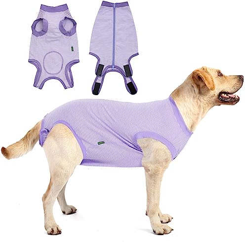Traje de recuperación para perro talla XS morado a rayas