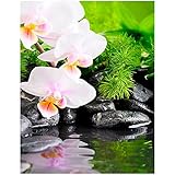DIY 5D Diamond Painting Orchidee Full Dril Eckige Steine Phalaenopsis 40x50cm Diamant Painting Bilder Erwachsene kinder Perlen Gemälde Malerei Kits Sticken nach Zahlen Diamant Mosaik Schlafzimmer Büro