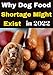 Why dog food shortage might exist : Find out the reasons why and how pet owners can survive their dogs (English Edition)