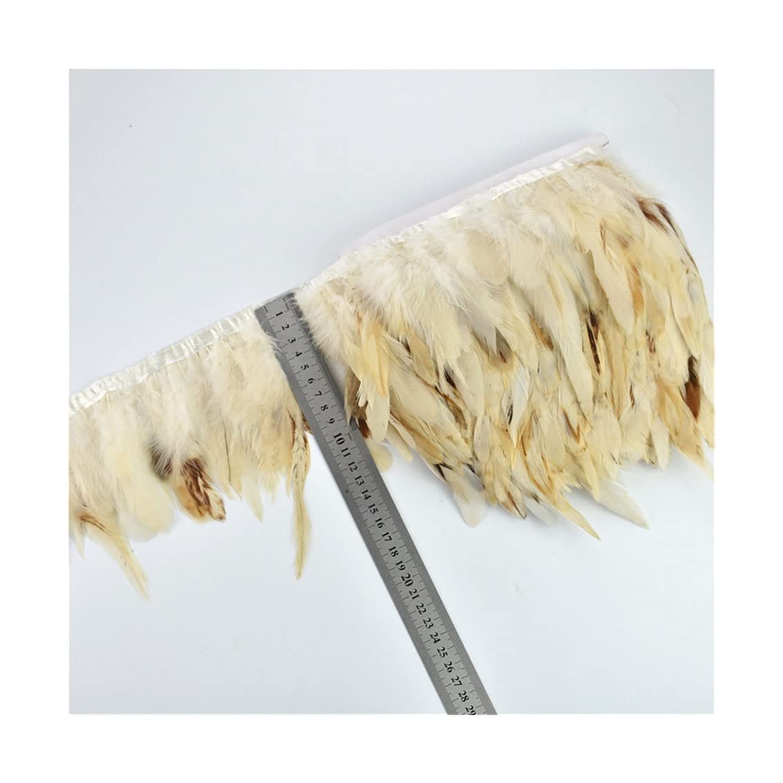 Plumes de paon naturelles ruban franges couture loisirs créatifs 10m