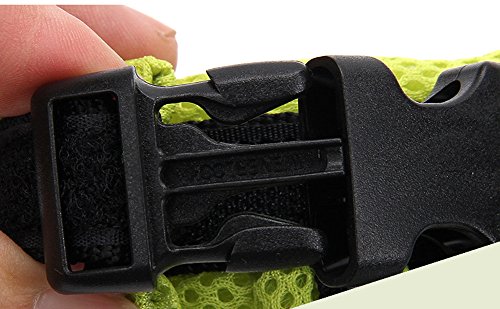 ZEEY Sicurezza Pet Dog stretto contatto con