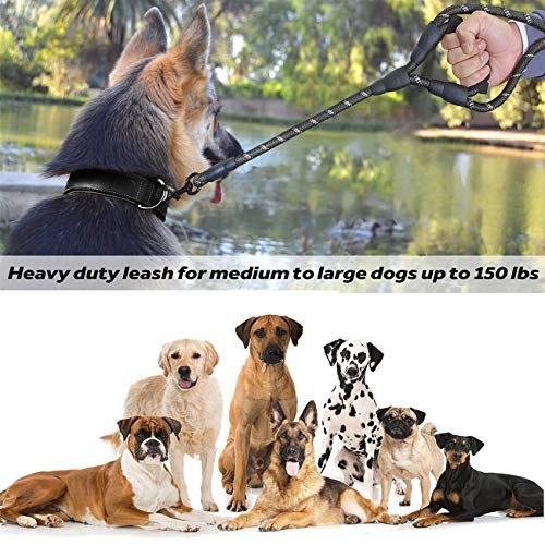Jsxd Dog Leash,5 Ft Heavy Duty Double Handle Dog Leash With Comfortable Padded And Reflective,Rope Dog Leashes For Small,Medium,Large Dogs (Rope-Black) #TOP4