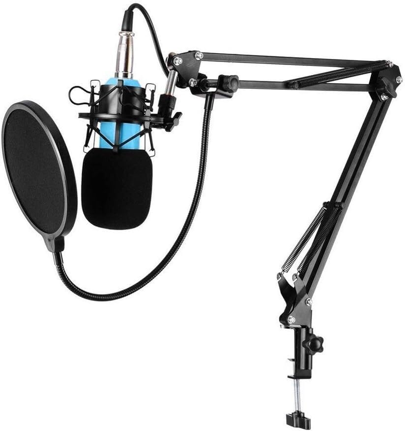 Nagrywanie studyjne do karaoke kardioidalny zestaw mikrofonów pojemnościowych Ktv Singing mikrofon pojemnościowy do muzyki z mikrofonem wokalnym