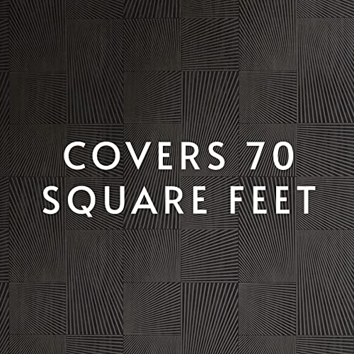 Roman Products Heavy Duty Wallpaper Adhesive, Commercial Grade For Heavy Wall Hangings, Clear, Pro-838 (32 Ounce - 70 Sq. Ft.), 11314 #TOP5