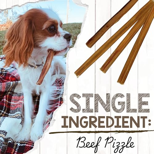 Image of Nature Gnaws Extra Thin Bully Sticks for Small Dogs 5-6 inch (50 Count) - Long Lasting for Light Chewers and Puppies - Natural Beef Dog Chew Bone
