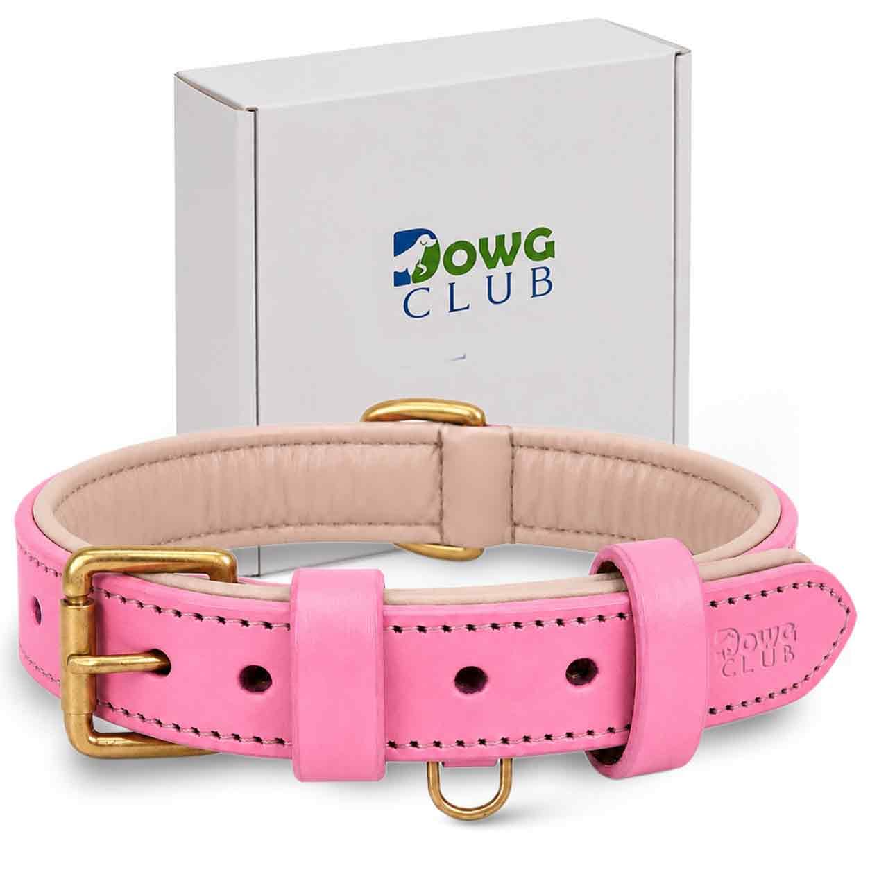 DowgClub Genuine Leather Dog Collar, Light Pink, Medium, Soft Padding