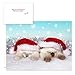 Canopy Street Christmas Cats Holiday Card Assortment Pack / 25 Seasonal Kitten Greeting Cards And Envelopes / 5 Sleeping Santa Animal Designs And Christmas Messages