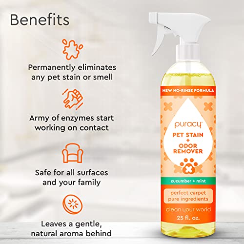Puracy Natural Platinum Pet Stain And Odor Remover - Plant-Powered Professional Pet Urine Odor Eliminator With Natural Enzymes - Safe And Effective Carpet Pet Stain Remover And Cleaner, 739Ml, 25Oz #TOP1
