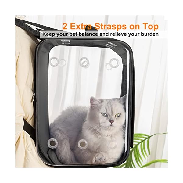 Petseek-Cat-Backpack-Carrier-Large-Pet-Backpack-Carrier-17lbs-Load-Bearing-Ventilated-Design-Dog-Backpack-Carrier-for-Small-Dogs-Sturdy-Cat-Bubble-Backpack-for-Travel-Hiking-Outdoor-Use Large Pet Backpack Carrier