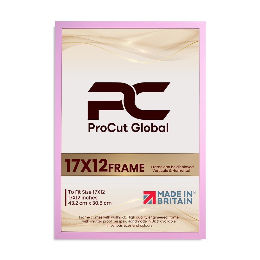 Procut Global 17X12 Pink Picture Frames – Sleek Wooden Photo Frame with Shatterproof Perspex for Wall or Tabletop – Perfect for Posters, Certificates, Prints–Multiple Sizes & Colors Available