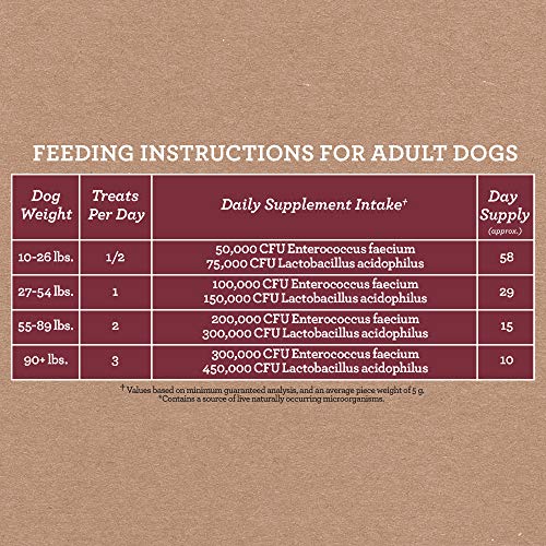 Cloud Star Dynamo Dog Tummy Treats – Soft & Chewy Probiotics Support for Dogs (14 oz. Pumpkin and Ginger)