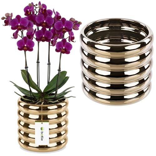 botle Maceta de cerámica con efecto espejo dorado, diámetro de 13,5 cm, para plantas de interior, estructura brillante, glamour