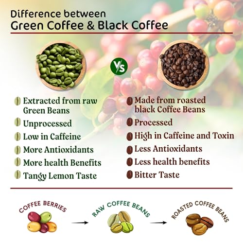 Image of roots & stems Green Coffee Lemongrass | Instant Premix Extract Powder with Probiotic | Arabica, Flavoured Coffee |100g (5gx20 Sachets) Pack of 4