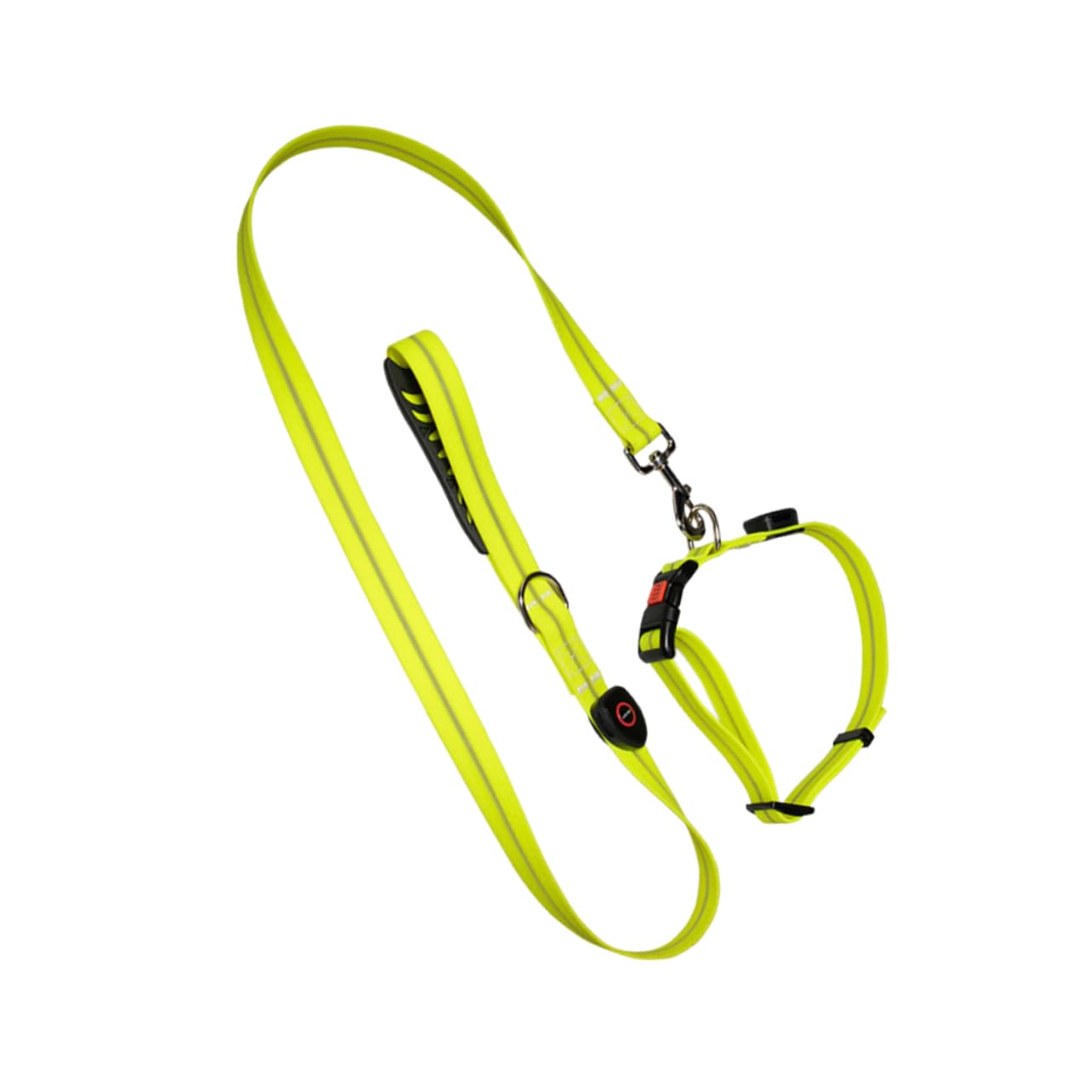 Laisse pour chien corde de traction lumineuse balade nocturne et extérieur facile à ranger
