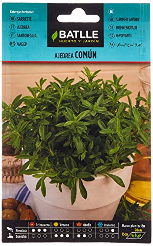 Semillas Batlle Ajedrea común, semillas para plantar