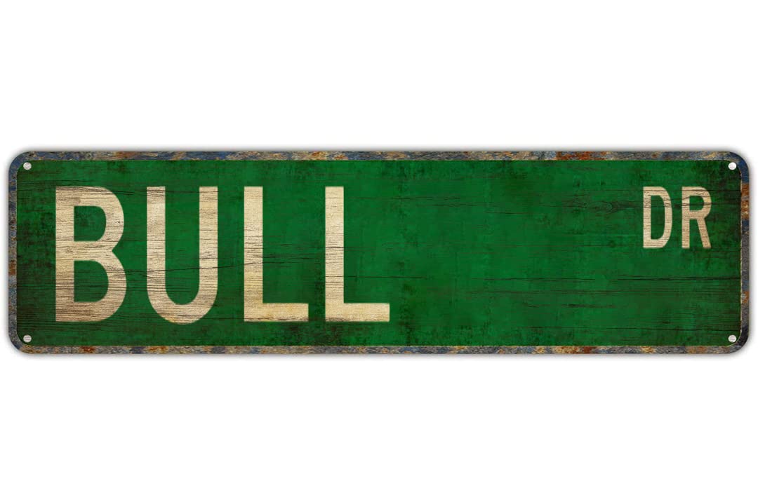 Street sign Bull Bull Gift Bull Sign Bull Decor Bull Expert Bull Backyard Bar Wall Decor Rustic Living Tin Sign Wall Decor 16 x 4inch