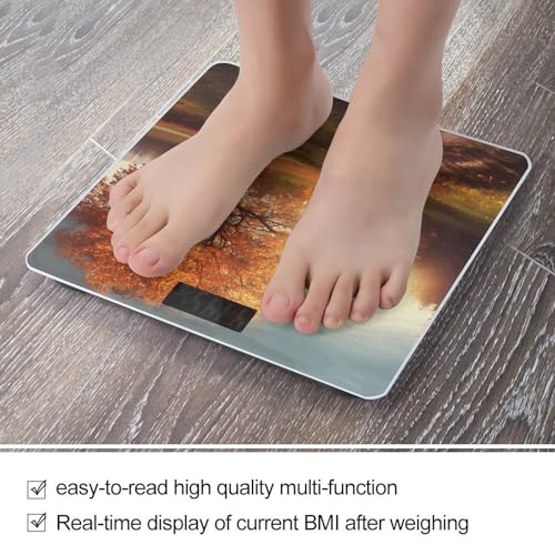 Báscula Digital de Baño con Vidrio Templado y Pantalla LCD miniatura 5