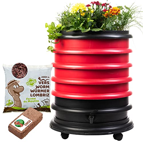 WORMbox | Wurmkomposter Wurmfarm Wurmkiste mit 4 Schalen Rot + Pflanzgefäß + 1kg Kompostwürmer / 2000 STK + 1 Coco | 64 Liter | Regenwurmkomposter, Kompostwürmer produzieren Wurmhumus