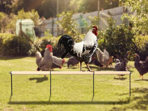 Image of Chicken Coop Accessories, Extra Long Wooden Chicken Roosting Perch with Metal Stakes, Roosting Bars for Chickens in Coop, Chicken Enrichment Toys