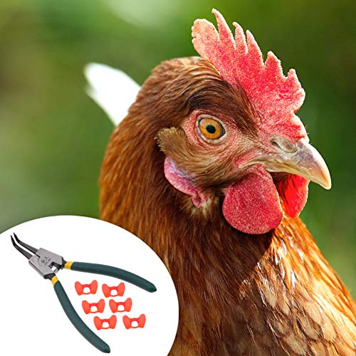 DOITOOL 41Pcs Pinless Peepers Frango Aves Blinders Peepers Com Ferramenta Alicate Alicate Definir An