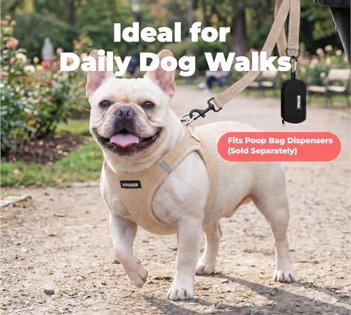 Image of Best Pet Supplies Voyager Reflective Dog Leash or Collar with Neoprene Handle, for Small, Medium, and Large Breed Puppies, Cute and Heavy Duty for Walking, Running and Training - Khaki (Leash), S