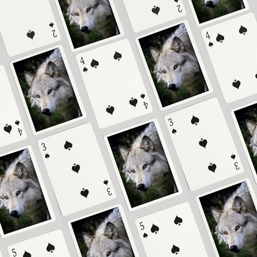 Lantern Press Wolf Face, 52 naipes póker para adultos miniatura 4