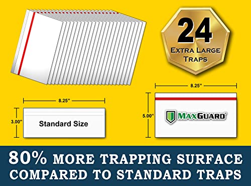 Maxguard Window Fly Traps (24 Xl Traps) Catch & Kill Houseflies, Flying Insects & Bugs. Non-Toxic Sticky Glue Traps Fly Killer Clear Strip Insect Catcher Safe No Zapping With Zapper | #TOP2