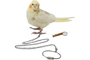 Conure Chain Leash: Safe Outdoor Training Rope for Parrots