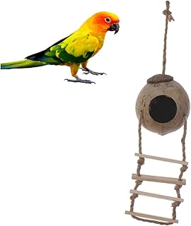 Ipetboom Suprimentos De Pássaro Ninho De Papagaio De Madeira Casa De Pássaros Suprimentos De Ninho De Pássaro Papagaio Brinquedo De Pássaro Papagaio Brinquedo De Madeira Papagaio