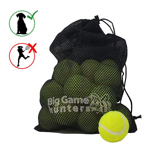 Big Game Hunters Hunde-Tennisball, doppelt stark, unzerstörbar, ideal für Aggressive Kauer, 20 Stück
