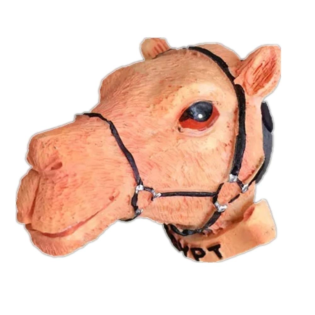 Calamita da frigorifero 3D con animali di squalo, in resina, regalo turistico, fatta a mano, decorazione per casa e cucina, con lettera di frigorifero (squalo bianco