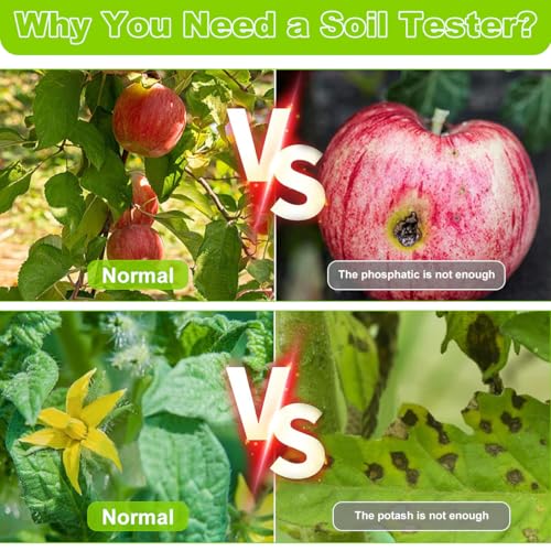 Image of HASTHIP 4-in-1 Soil Tester, Nitrogen Phosphorus Potassium & Temperature Meter, Pin LCD Soil Tester for Nitrogen /Phosphorus /Potassium, Dual Probe NPK Nutrient Analyzer for Garden (No Battery Included)