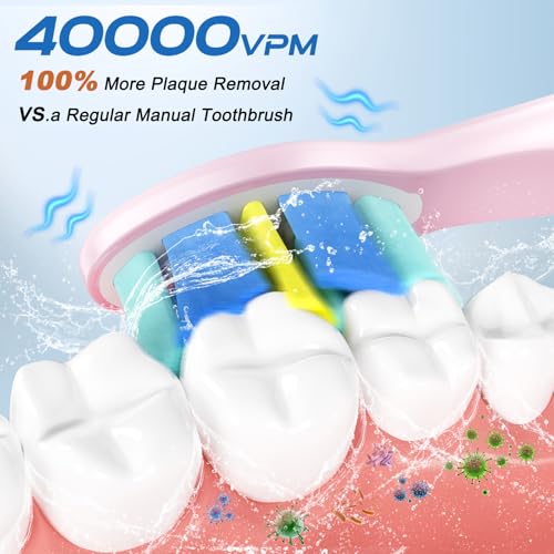 Elektrische Zahnbürste 40000 VPM Wiederaufladbare Schallzahnbürste mit 8 Bürstenköpfen Reiseetui, Smart Timer 5 Reinigungsmodi Letzte 30 Tage Elektrische Zahnbürsten für Erwachsene (Rosa) – Bild 3