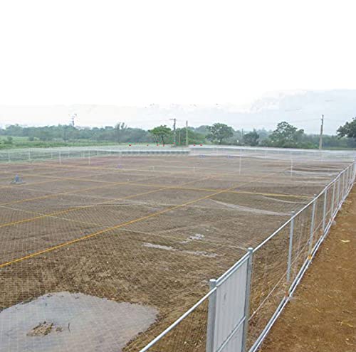 Red antipájaros resistente para jardín, 5 x 10 m, protege frutas, verduras y plantas de pájaros y roedores, red de enrejado para una protección eficaz de las plantas