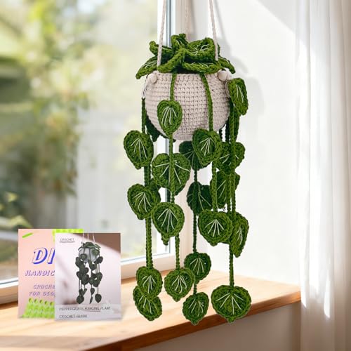 kdafio Crochet Kit for Beginners, Hanging Potted Plants Crochet Starter