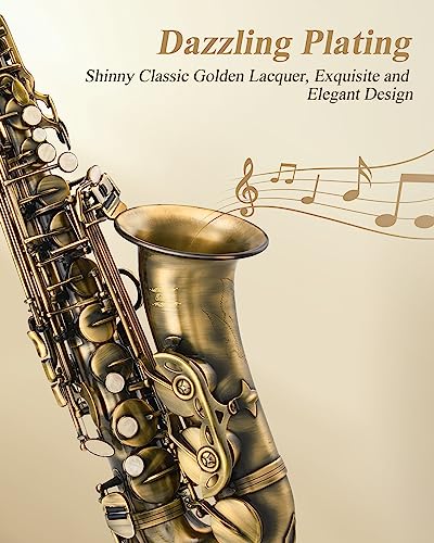 Image of Eastar Alto Saxophone Beginner E Flat, Vintage Bronze Full Kit, AS-II-Ab