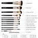COLOLLINE Makeup Brushes Set 12pcs High Quality Soft Synthetic Hair and Nature Bristles Professional Makeup Artist Brush Tool Kit
