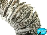 Algopix Similar Product 14 - Rooster Feathers Natural Grey