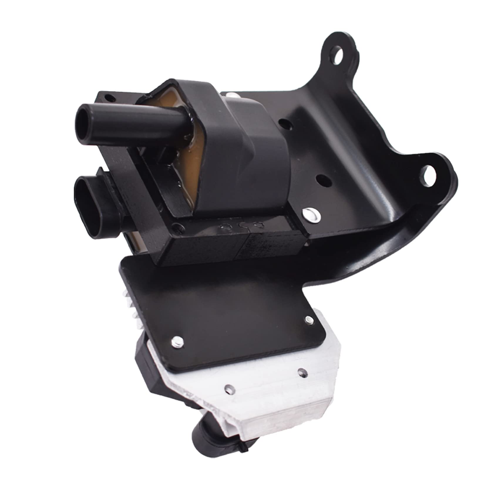 Amazon.com: Seblaff Ignition Coil with Ignition Module 10489421  