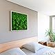 styleGREEN Moosbild Verlauf: Wald- und Kugelmoosbild Verlauf 80x80 cm