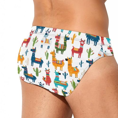 Llama Cactus Novelty Men's Brief Swimwear Pants Swimming Trunks Beach Shorts Underwear3