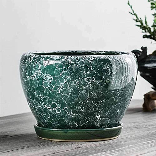 Pots de plantes extra larges anti-pourrissement avec coupelle intégrée