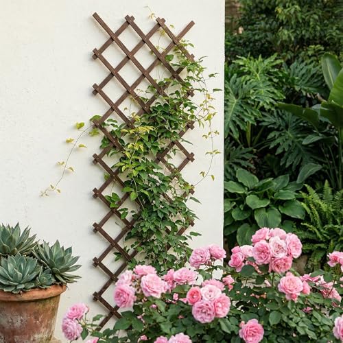 Image of Expandable Garden Trellis, 38 inch x 89 inch Trellis for Climbing Plants Outdoor, Wooden Lattice Fence Wall Panel Lattice Panels for Outside, for Climbing Plants Vine Ivy Rose Cucumbers Clematis（1PC）